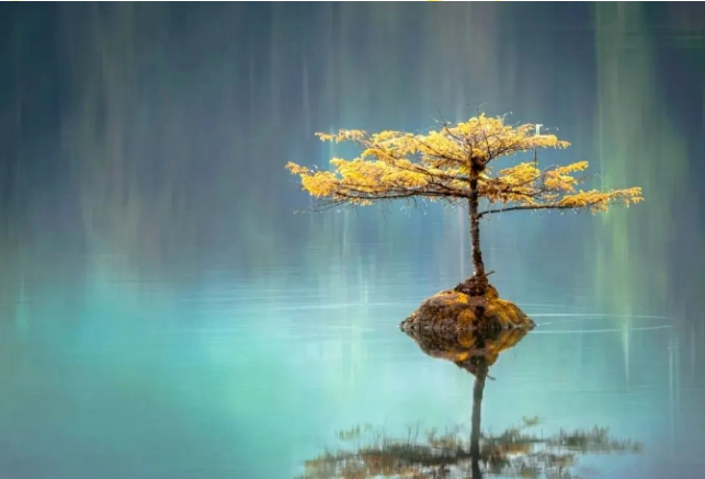 微信图片_20231206140326.png 微信图片_20231206140326.png