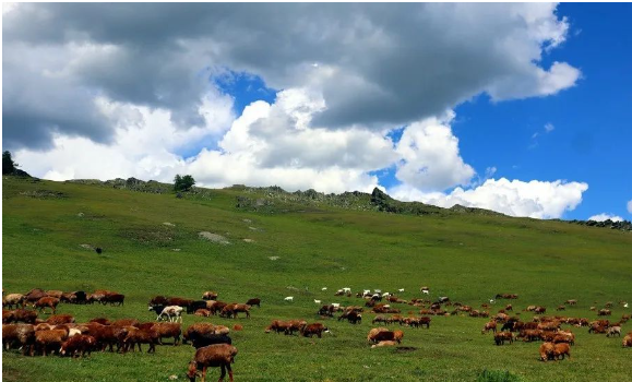 微信图片_20231207152407.png 微信图片_20231207152407.png