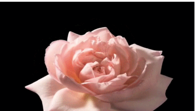 微信图片_20220112133625.png 微信图片_20220112133625.png