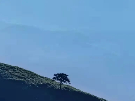 微信图片_20090101004031.png