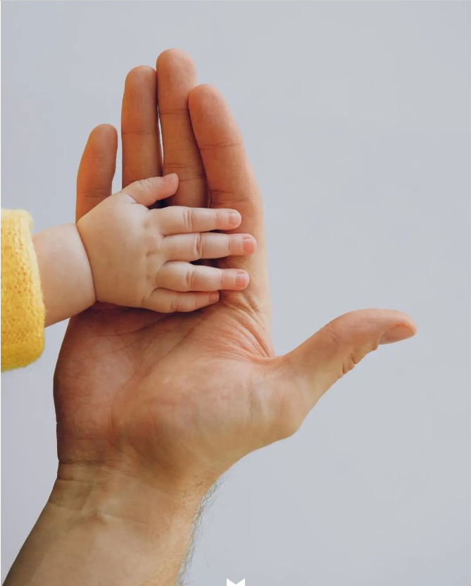 微信图片_20090101012432.png 微信图片_20090101012432.png