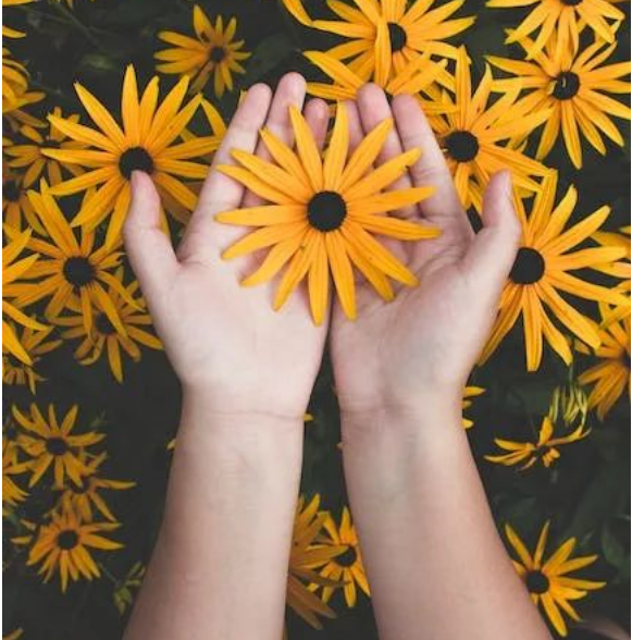 微信图片_20221108145418.png 微信图片_20221108145418.png