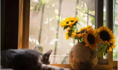 微信图片_20221213190026.png 微信图片_20221213190026.png