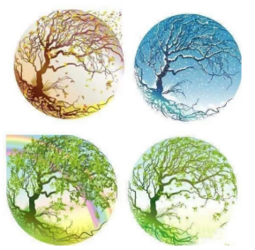 微信图片_20230416162457.png 微信图片_20230416162457.png