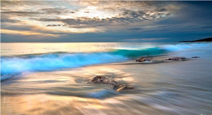 微信图片_20230423163119.png 微信图片_20230423163119.png