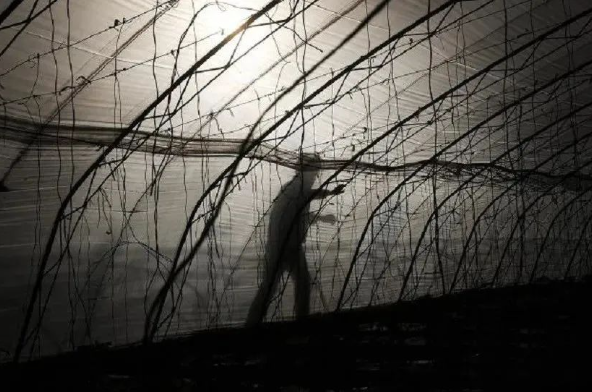 微信图片_20231201150015.png 微信图片_20231201150015.png