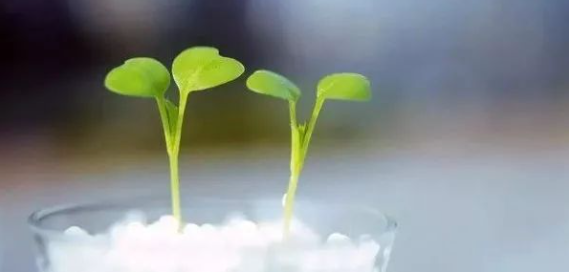 微信图片_20231205131131.png 微信图片_20231205131131.png