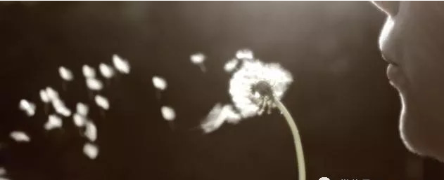 微信图片_20240531122820.png 微信图片_20240531122820.png