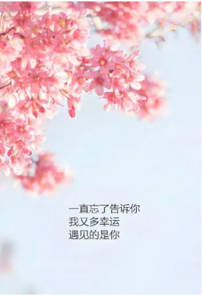 微信图片_20240913172030.png