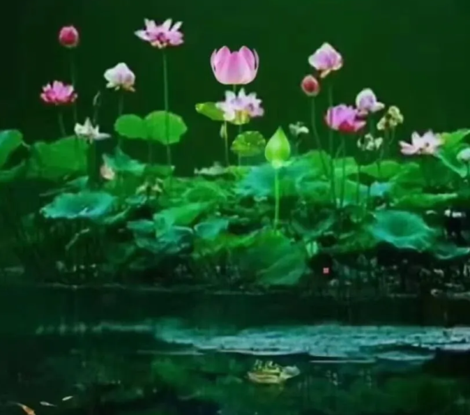 微信图片_20251020142919.png